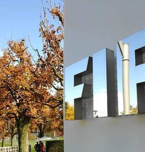 Meet your Posher, Rodlin